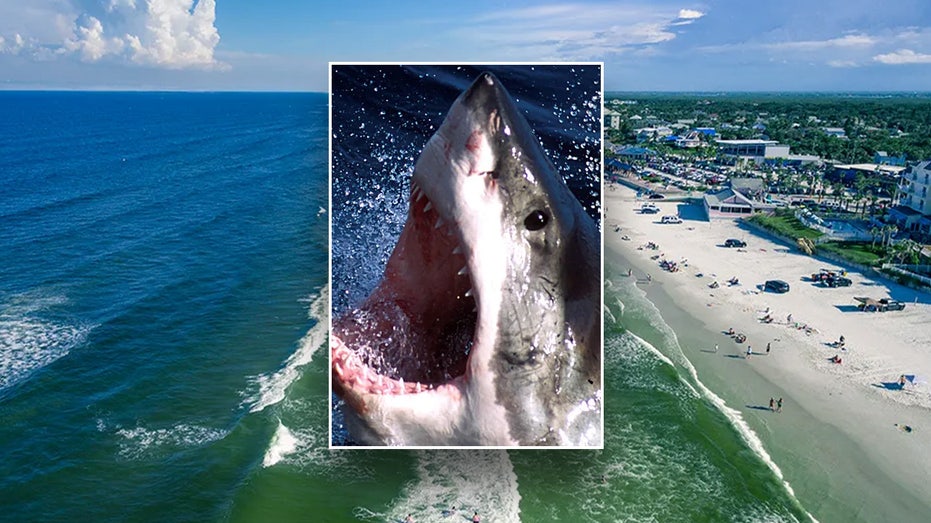 Florida shark attacks surfer, latched on ‘like a bear trap’ in world’s bite capital