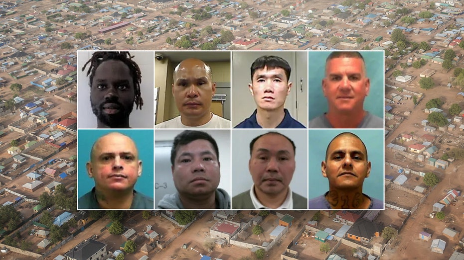 DHS: Several criminal illegal aliens deported to South Sudan after delays from ‘activist judges’