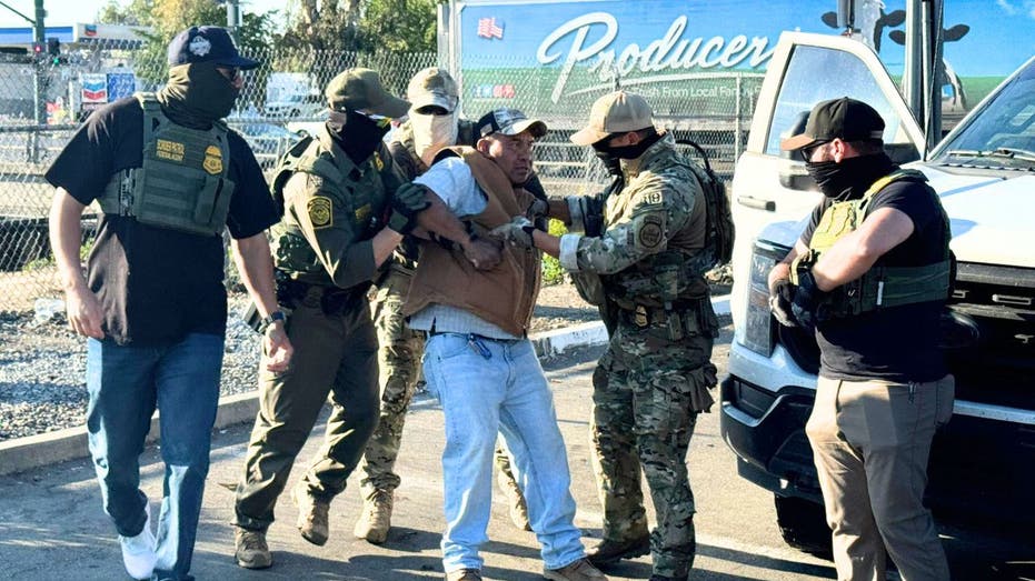 Border Patrol says some illegal migrants arrested in Sacramento raid had criminal histories