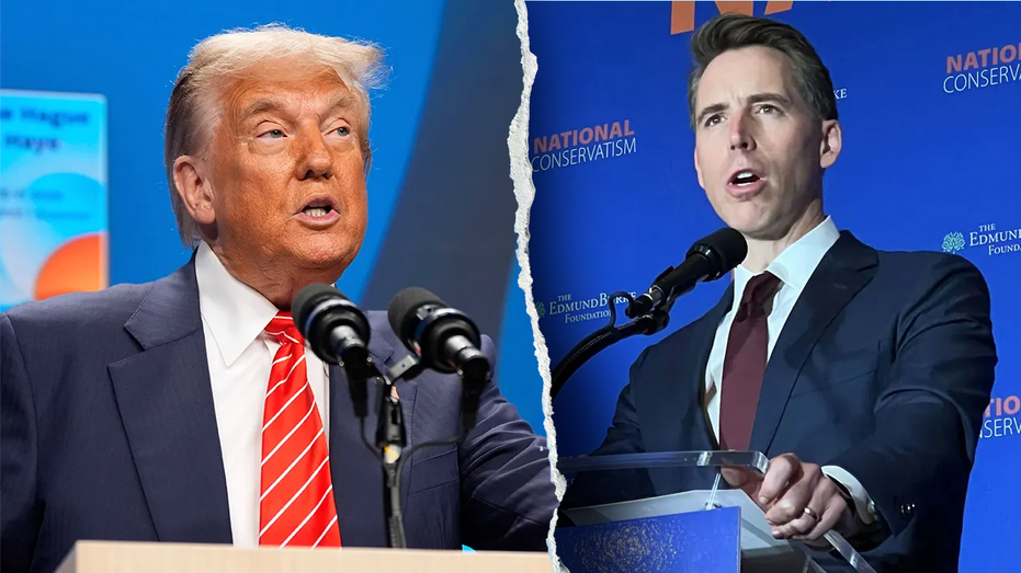 WATCH: Trump ‘wants to get’ stock-trading ban done, Hawley insists after president’s brutal attack on bill