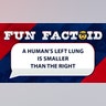 a human’s left lung is smaller than the right