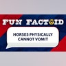 horses physically cannot vomit