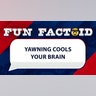 Yawning cools your brain