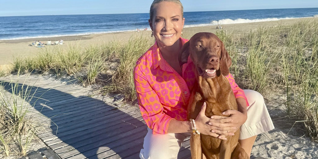 DANA PERINO: Let's celebrate the things our dogs teach us on National Dog  Day | Fox News