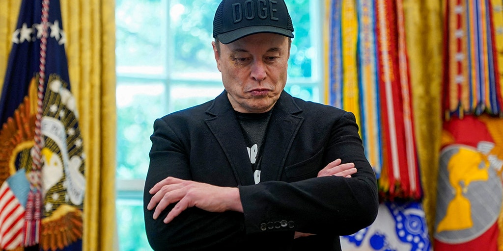 Musk shares that if he could have a do over, he wouldn't join DOGE