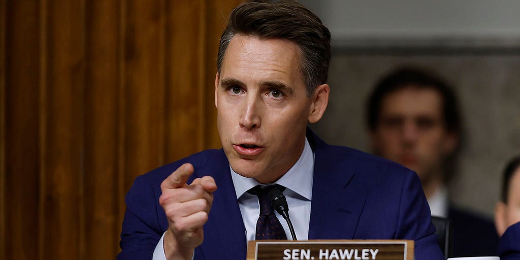 Hawley opens probe into Meta after reports of AI romantic exchanges with minors
