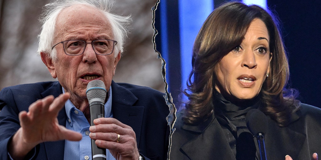 https://a57.foxnews.com/static.foxnews.com/foxnews.com/content/uploads/2025/08/1024/512/sanders-harris-campaign-cnn-sotu.jpg?ve=1&tl=1