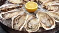 Fourth Florida resident dies after contracting flesh-eating bacteria linked to oysters - Fox News