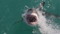 Shark attack deaths surge above decade average in 2025 - Fox News