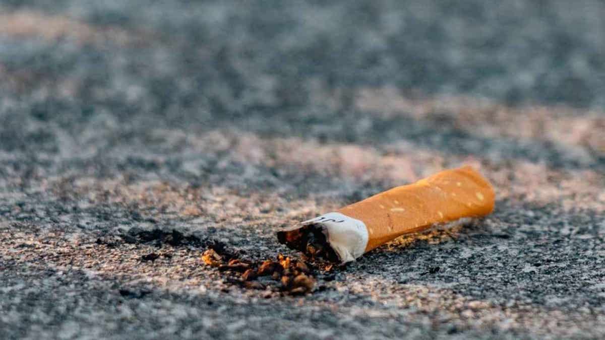cigarette butt recycling 1