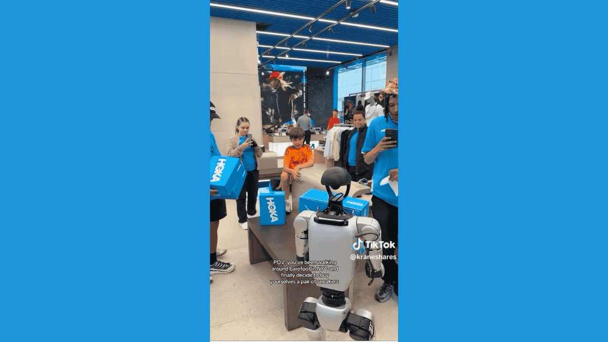 shopping robot