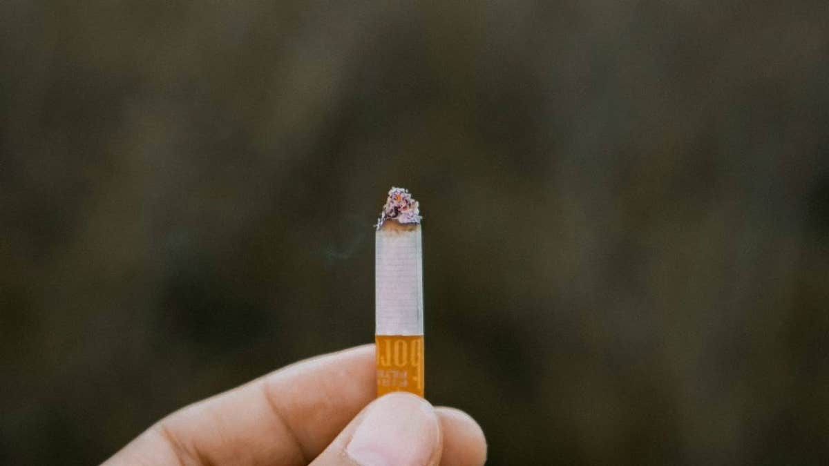 cigarette butt recycling 2