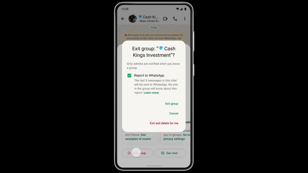 Illustration of new WhatsApp anti-scam safety feature ( WhatsApp)