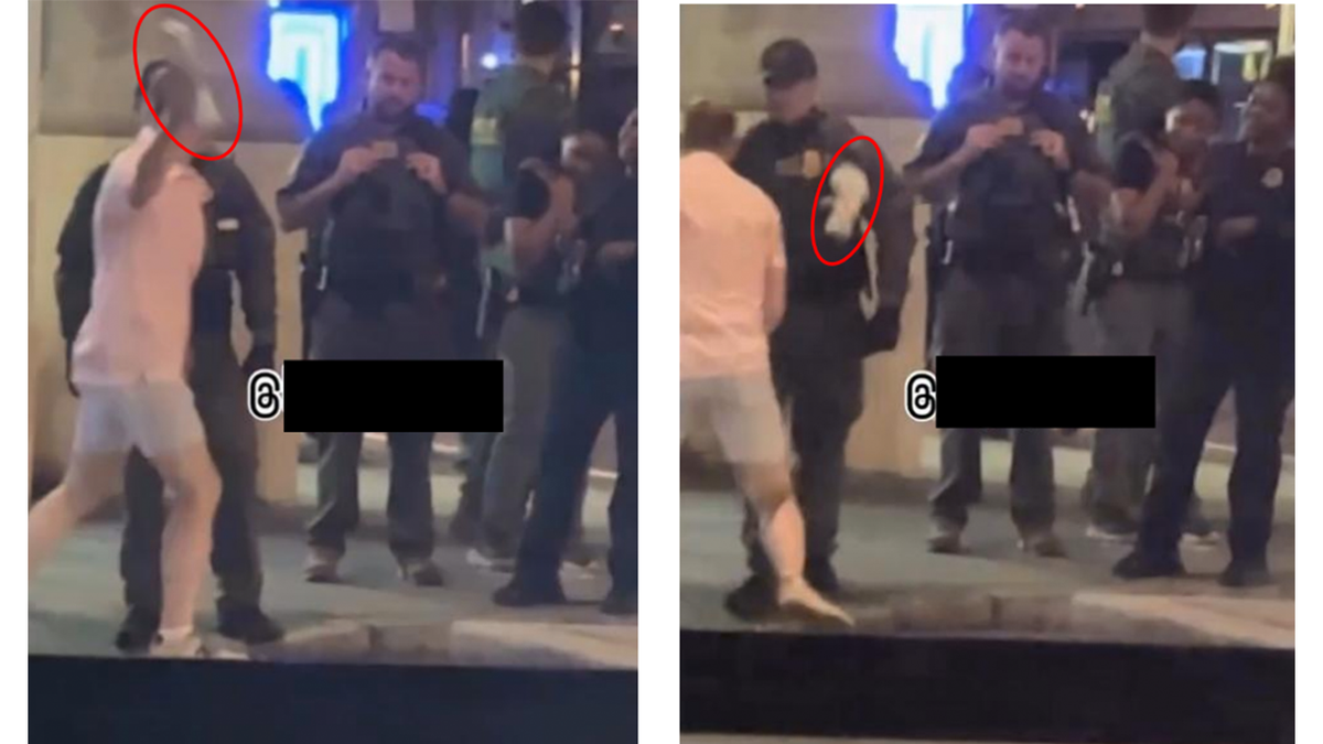 Court documents included photos of the alleged assault.