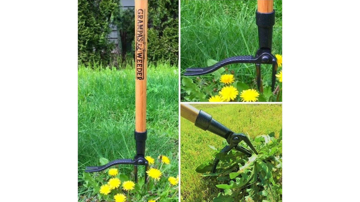 Dig out weeds without ever having to bend over.