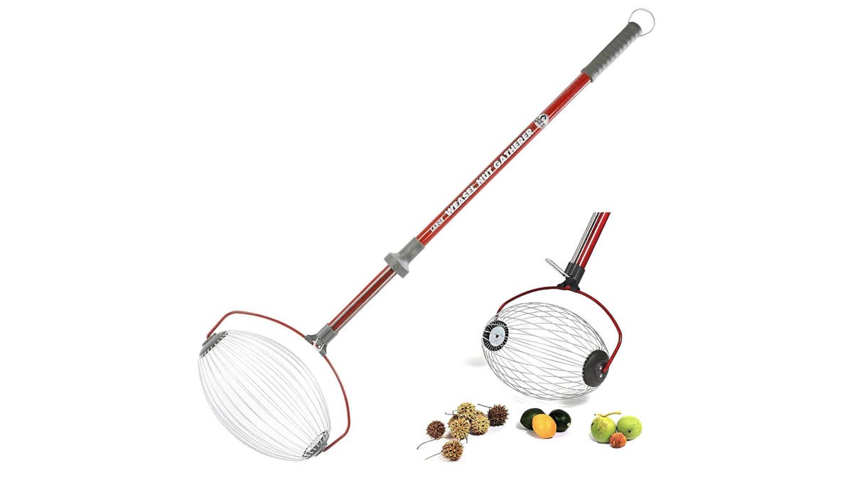 Pick up nuts and acorns with this handy tool.