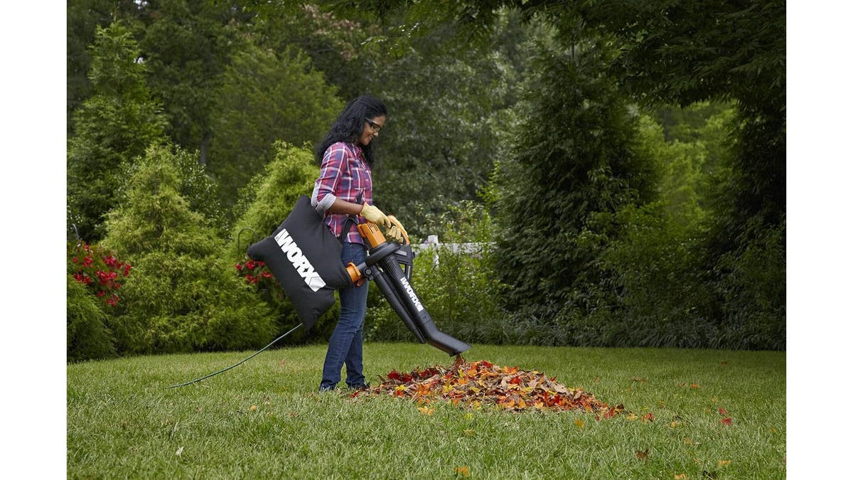 Blow, vacuum and mulch leaves all with one machine.