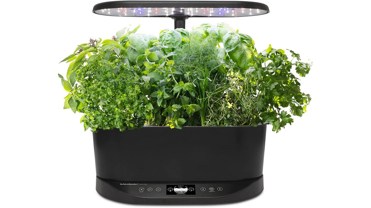 This easy-to-use garden is self-watering.