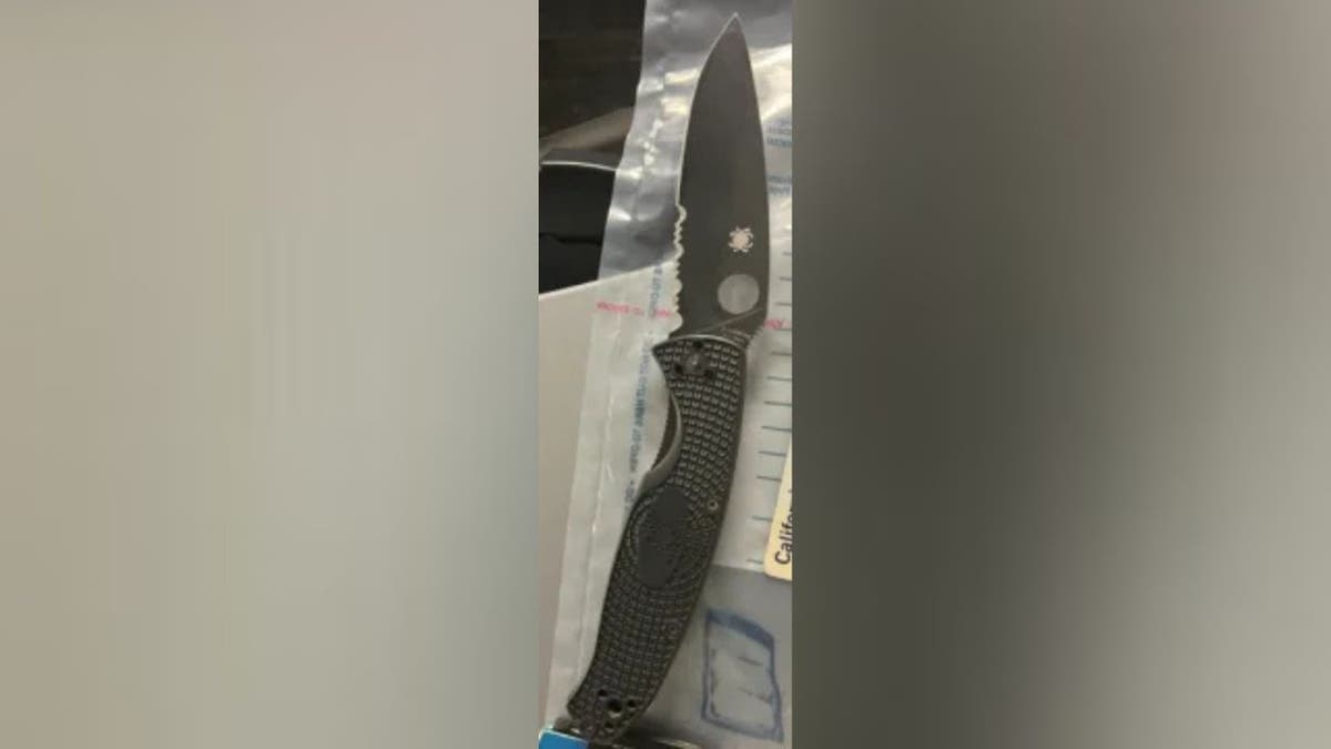 Keffiyeh-clad anti-ICE protester threatens to stab agent, harm family in San Francisco mob attack  at george magazine