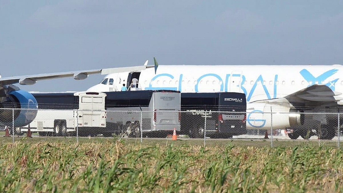 Charter buses of Guatemalan repatriations on tarmac at Texas airport