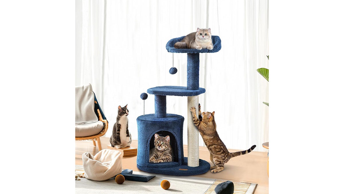 Three platforms give your cat comfortable places to relax.