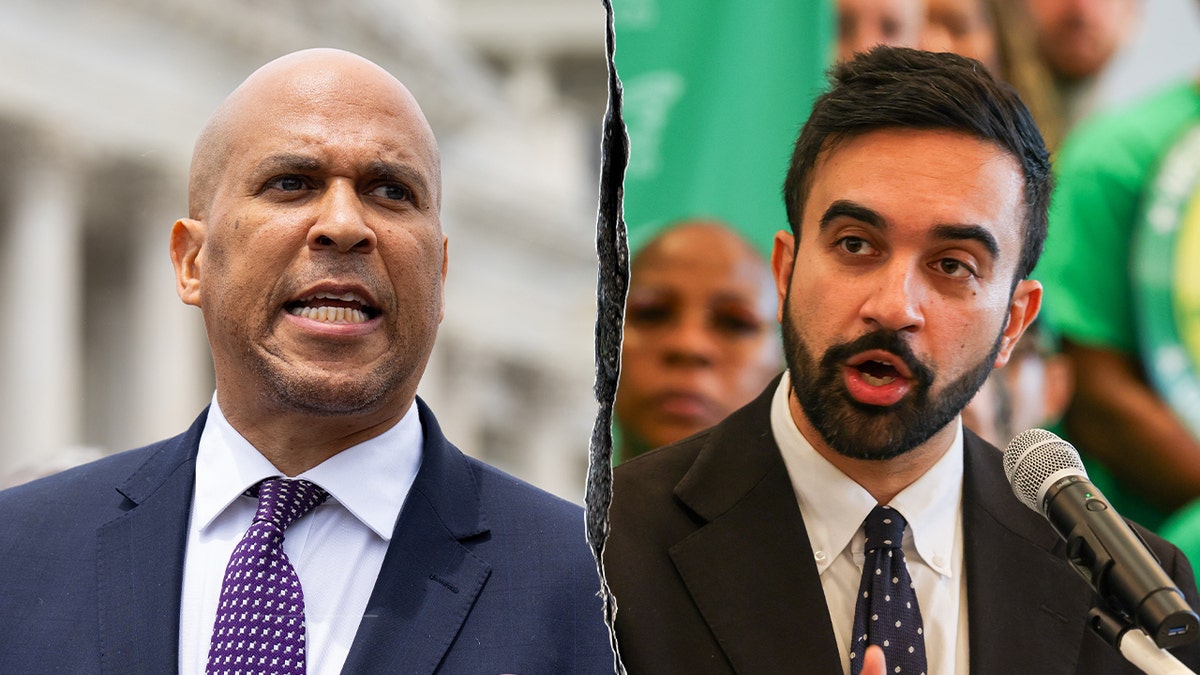 Booker, Mamdani