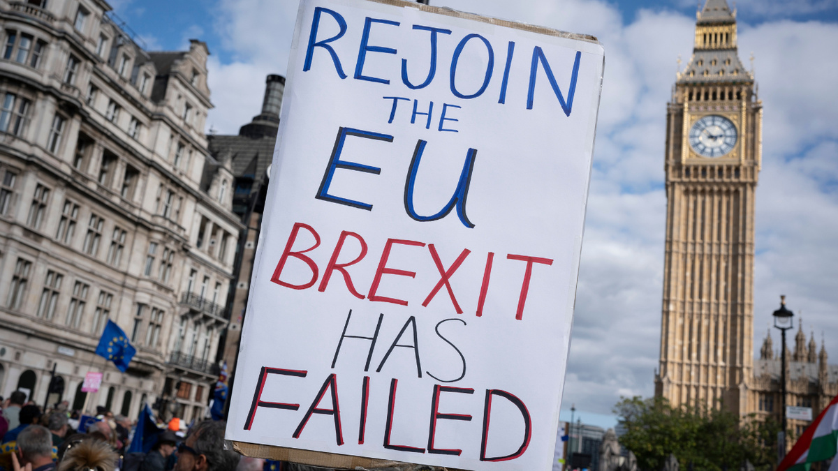A sign from a pro-EU supporter in London