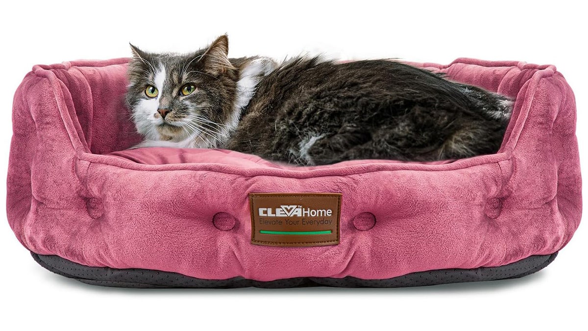 Your cat can relax in style with this bed.