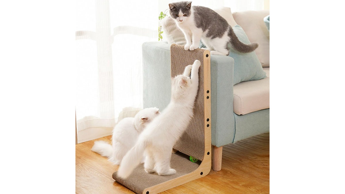 Protect your furniture by giving your cats a scratcher instead.