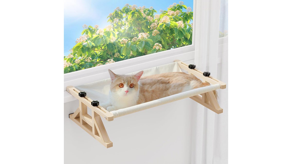 Turn this perch into an elevated bed when you put it on the ground.