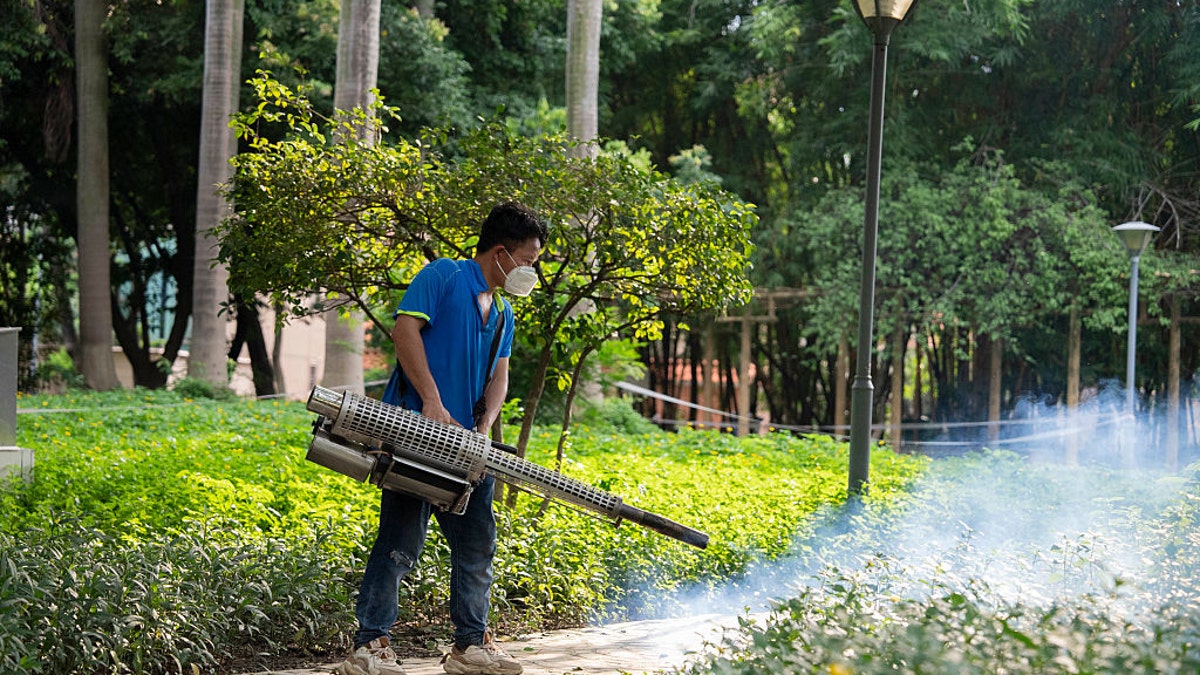 Chikungunya virus