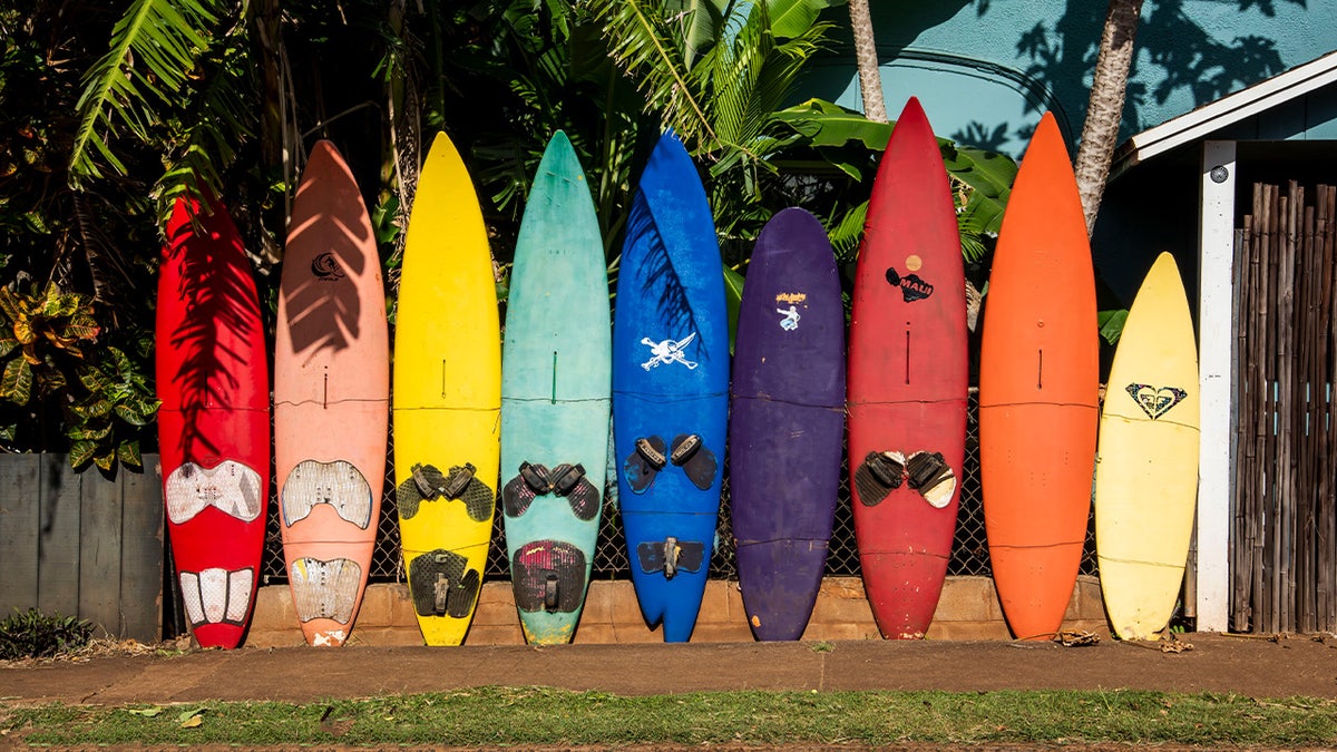 Colorful surfboards on a beach in Maui, Hawaii