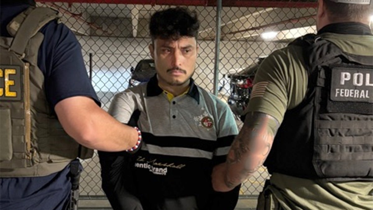 ICE arrests illegal migrant