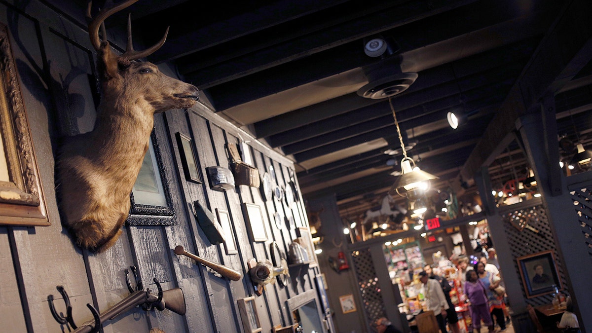 A deer head hangs inside a Cracker Barrel Old Country Store restaurant.