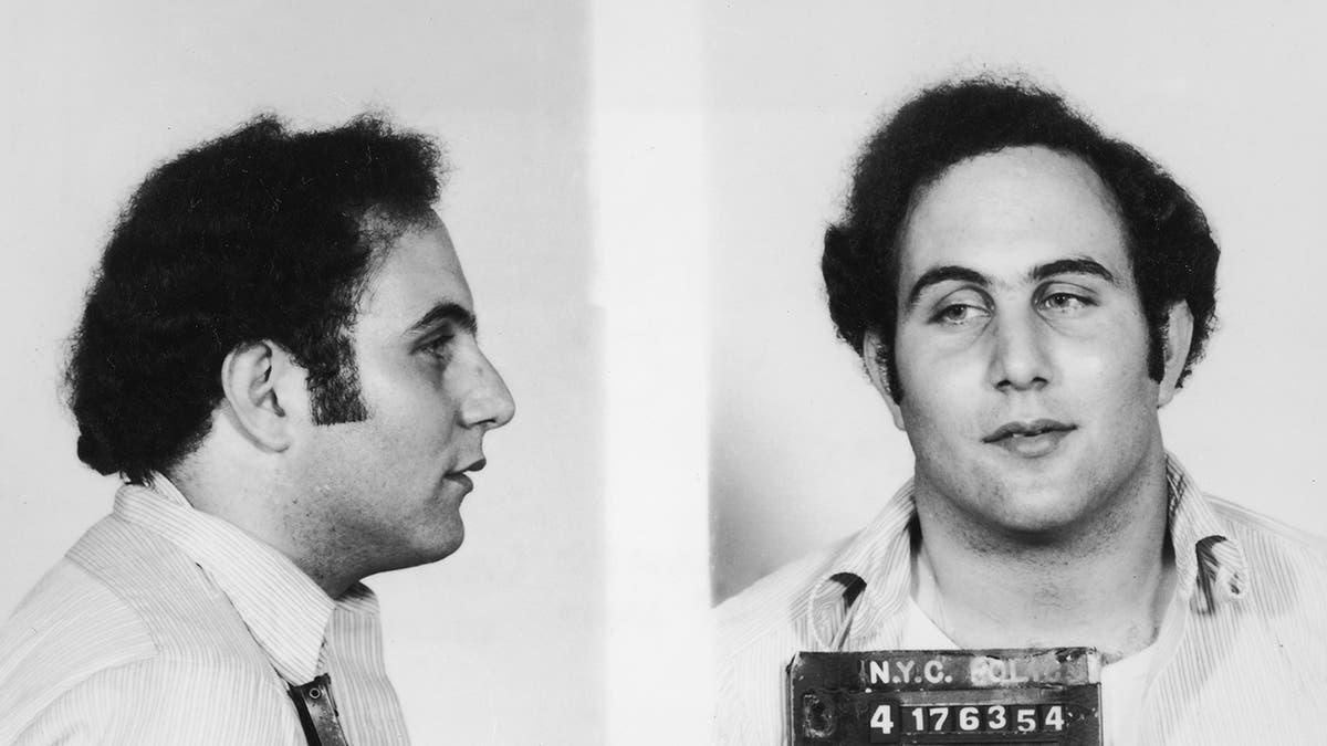 Side-by-side black and white mugshot of David Berkowitz