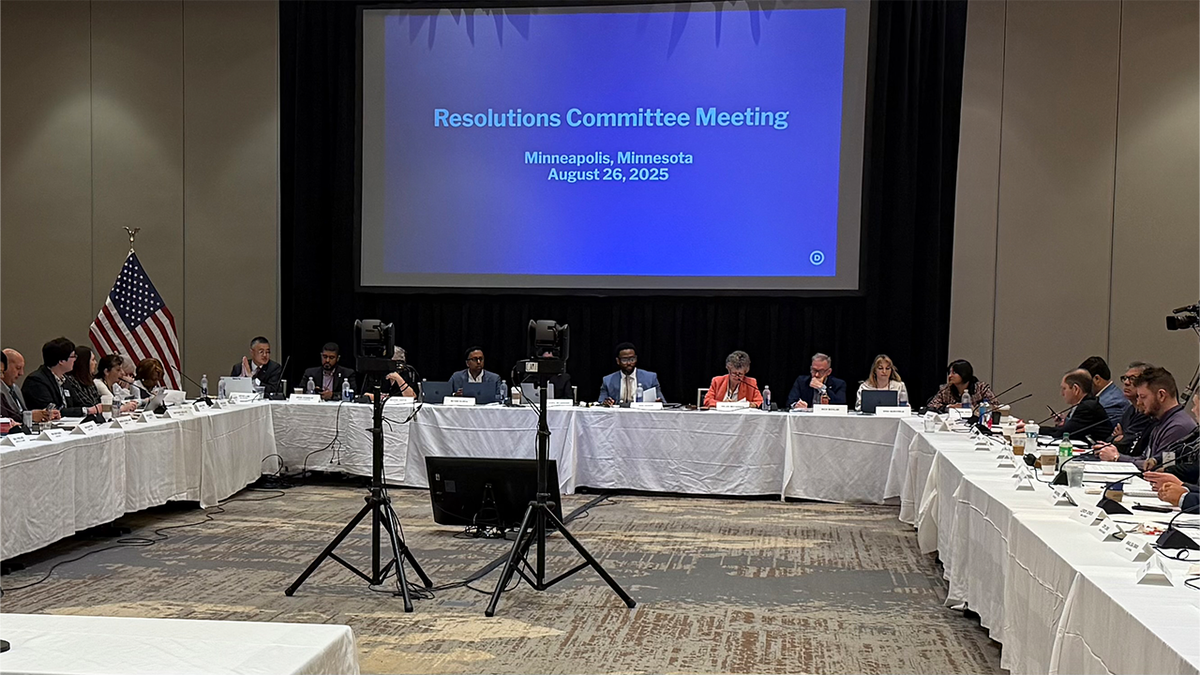 The DNC's Resolution Committee meets in at the party's summer meeting