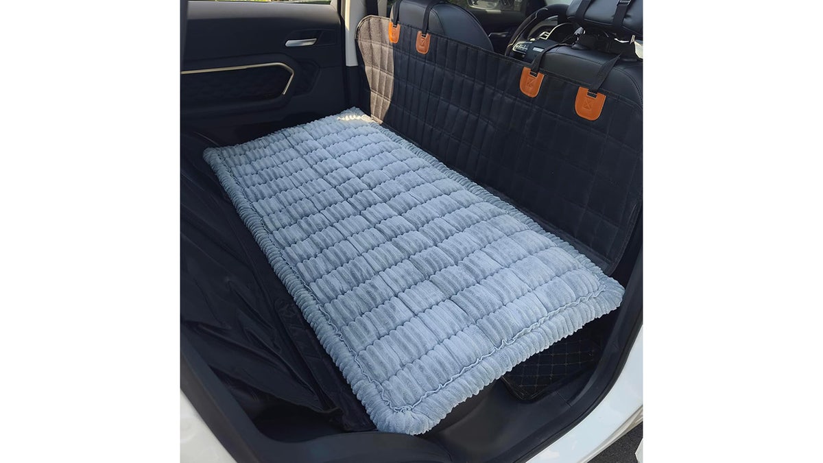 This new dog bed will get you and your pup ready for muddy days. 