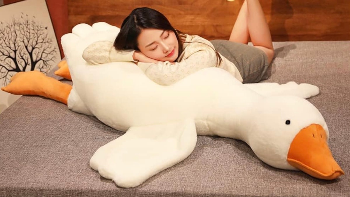 Dive into a world of quirky, yet practical, gadgets on Amazon.