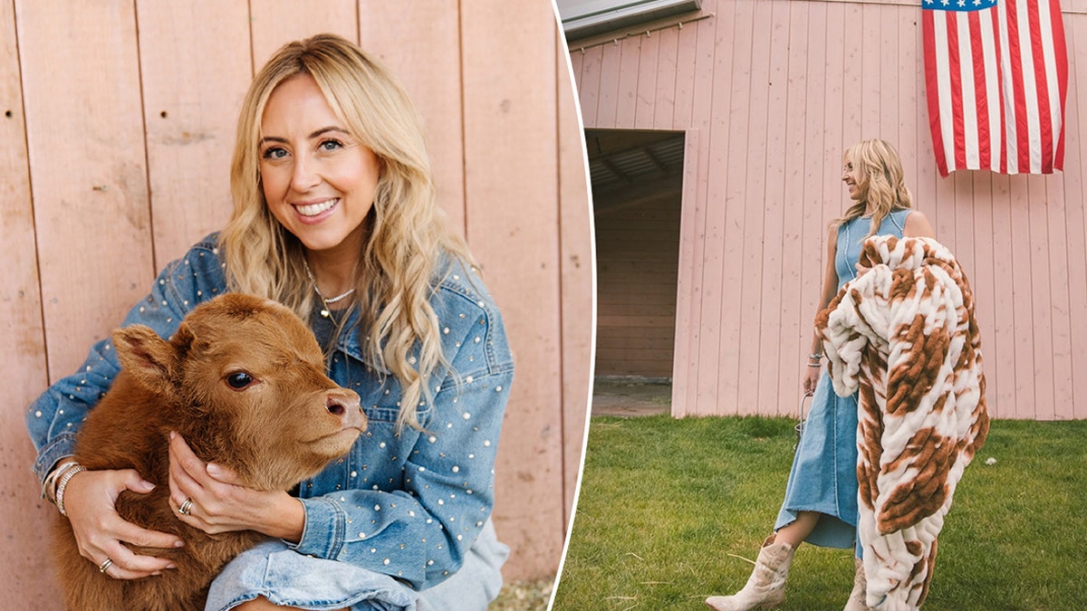 Split image of Lizi Heaps holding cow, standing next to US flag