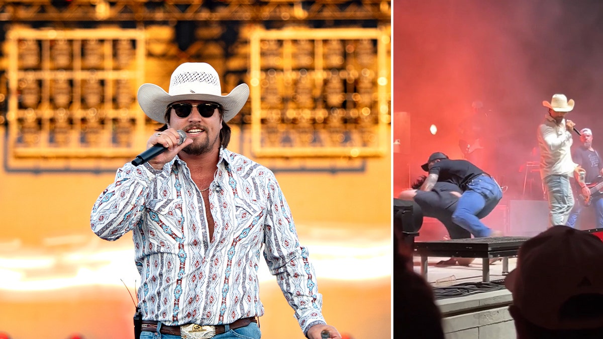 A split of Gavin Adcock on stage and another photo of him at a recent concert with a fan getting tackled by security.