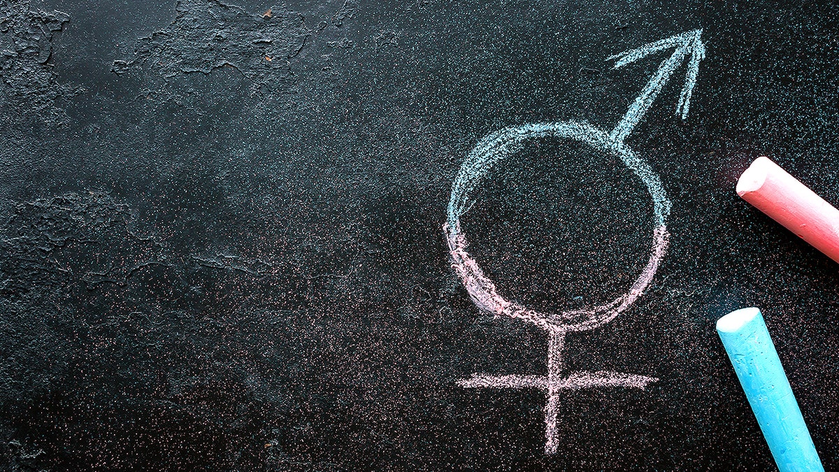Blue and pink gender sign on chalkboard.