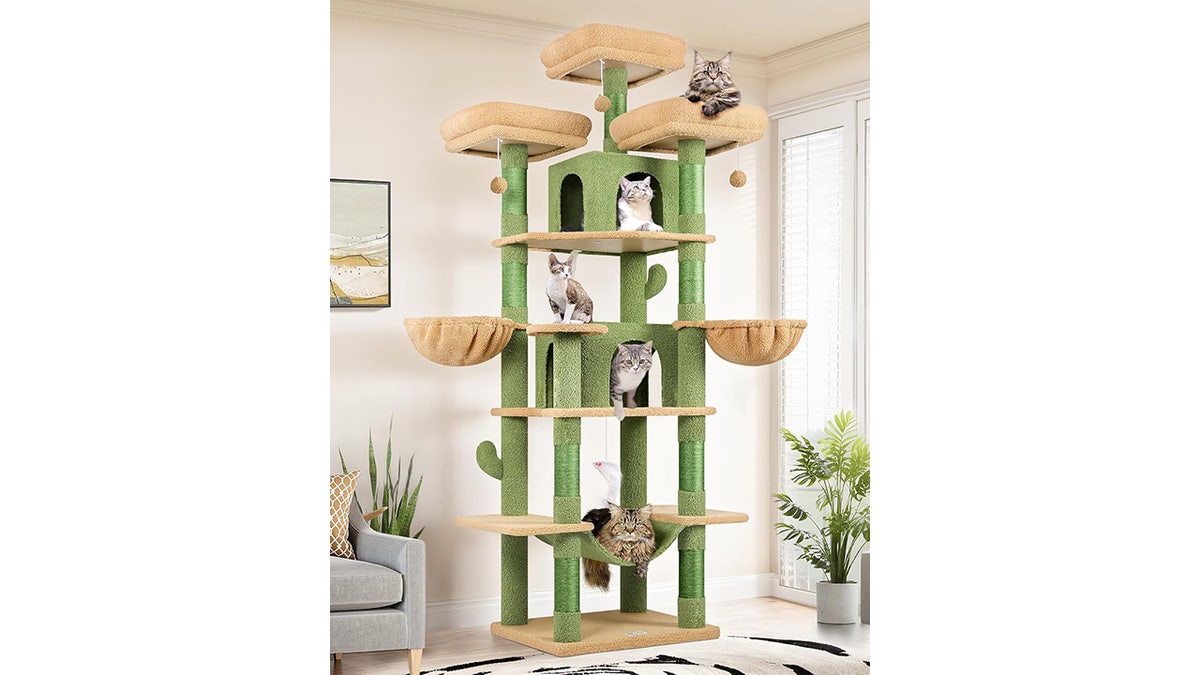 This giant cat tree will provide hours of fun.