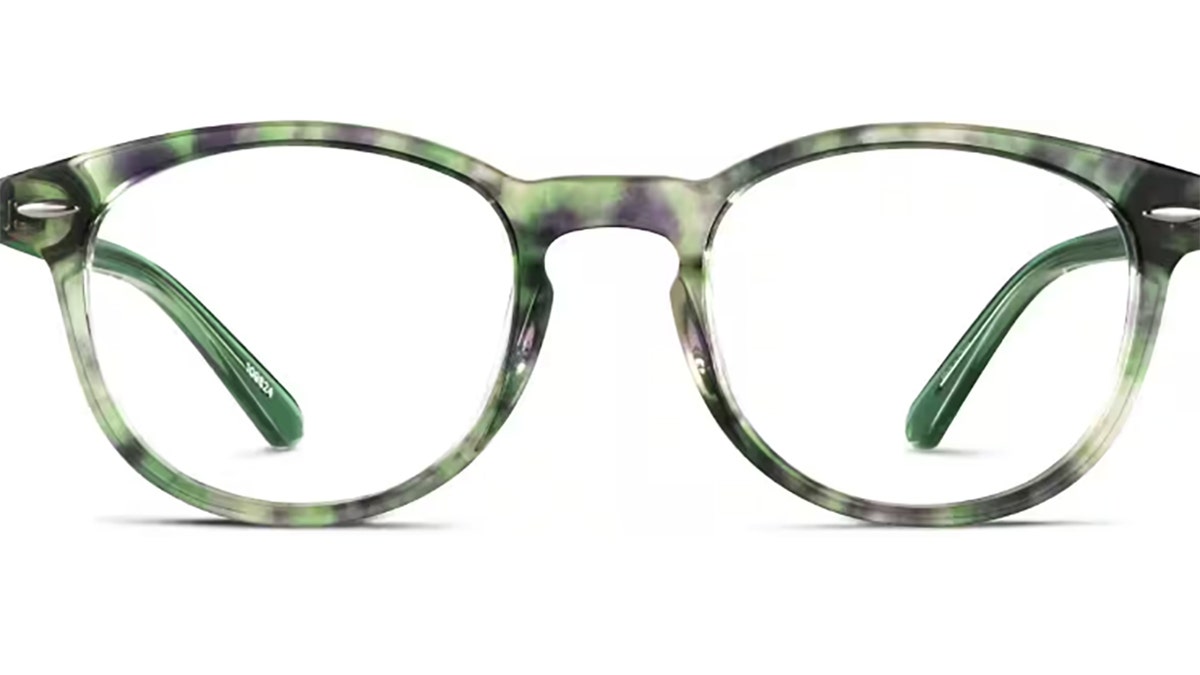 These glasses have an elegant look that says you are all business.
