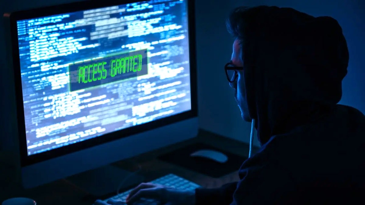 The person looks at his computer screen full of symbol and phrase "access."