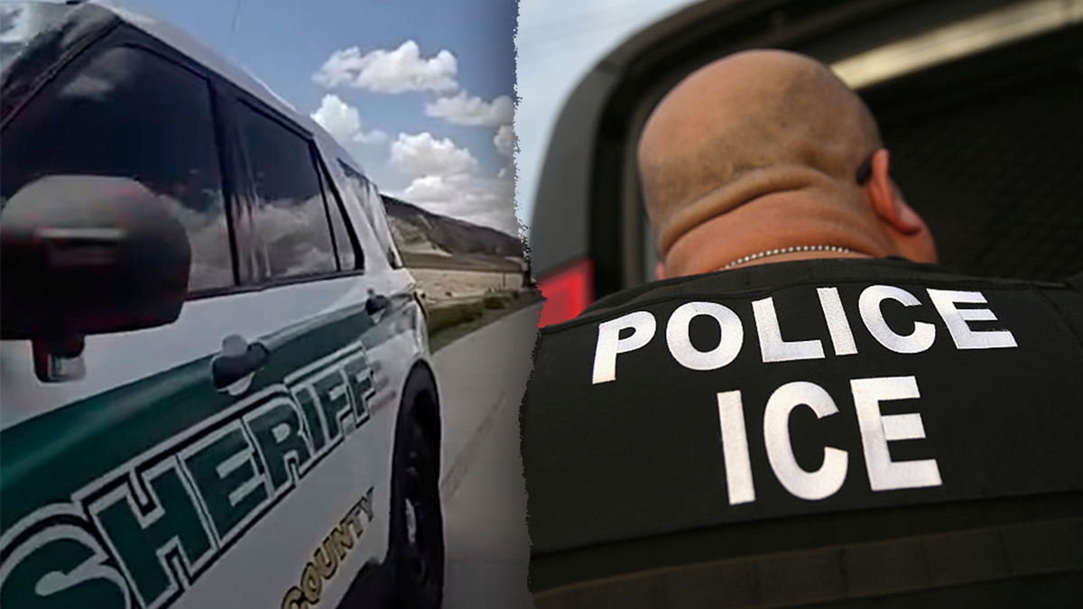 Mesa County Sheriffs Vehicle and ICE agent