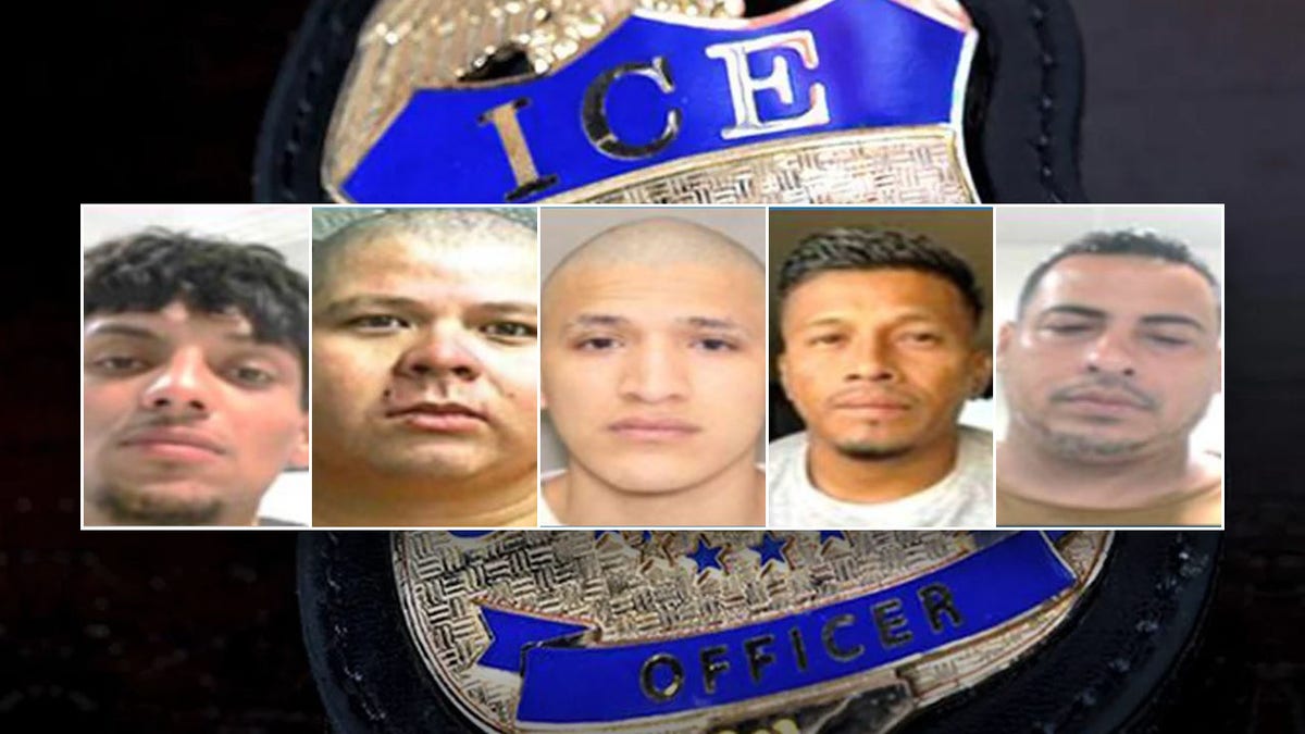 Mugshots of illegal immigrant criminals