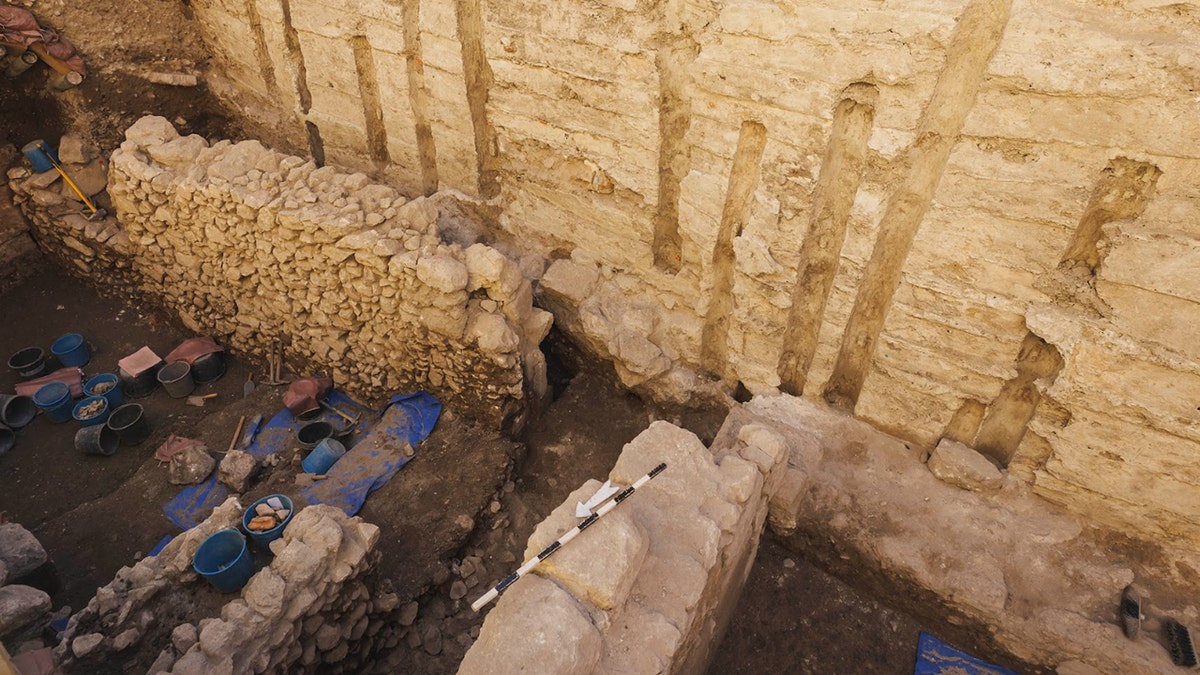 Archaeological excavation where coin was found