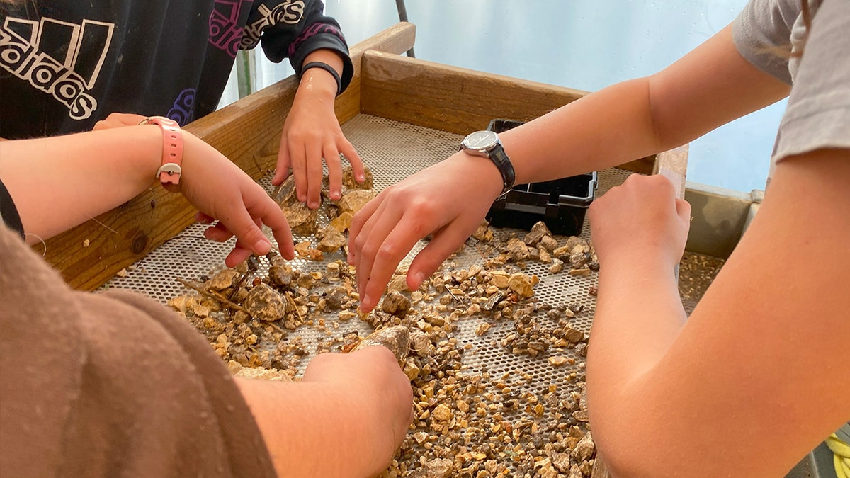 Volunteers sifting through dirt