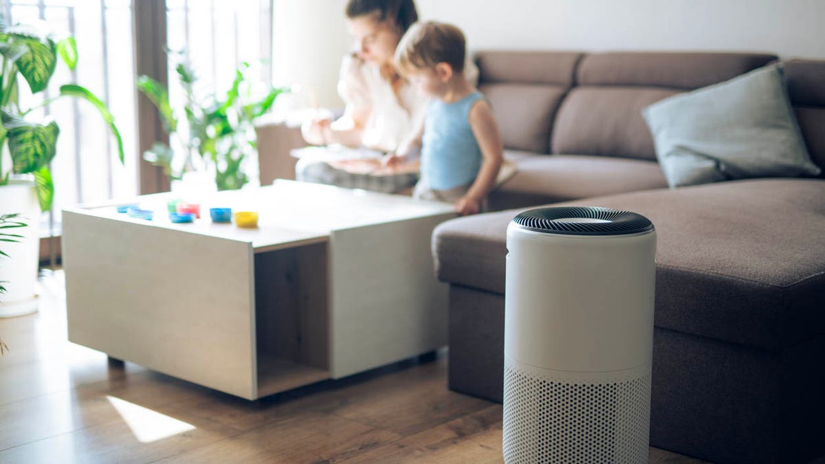Keep your home dust and allergy-free with the right air purifier.