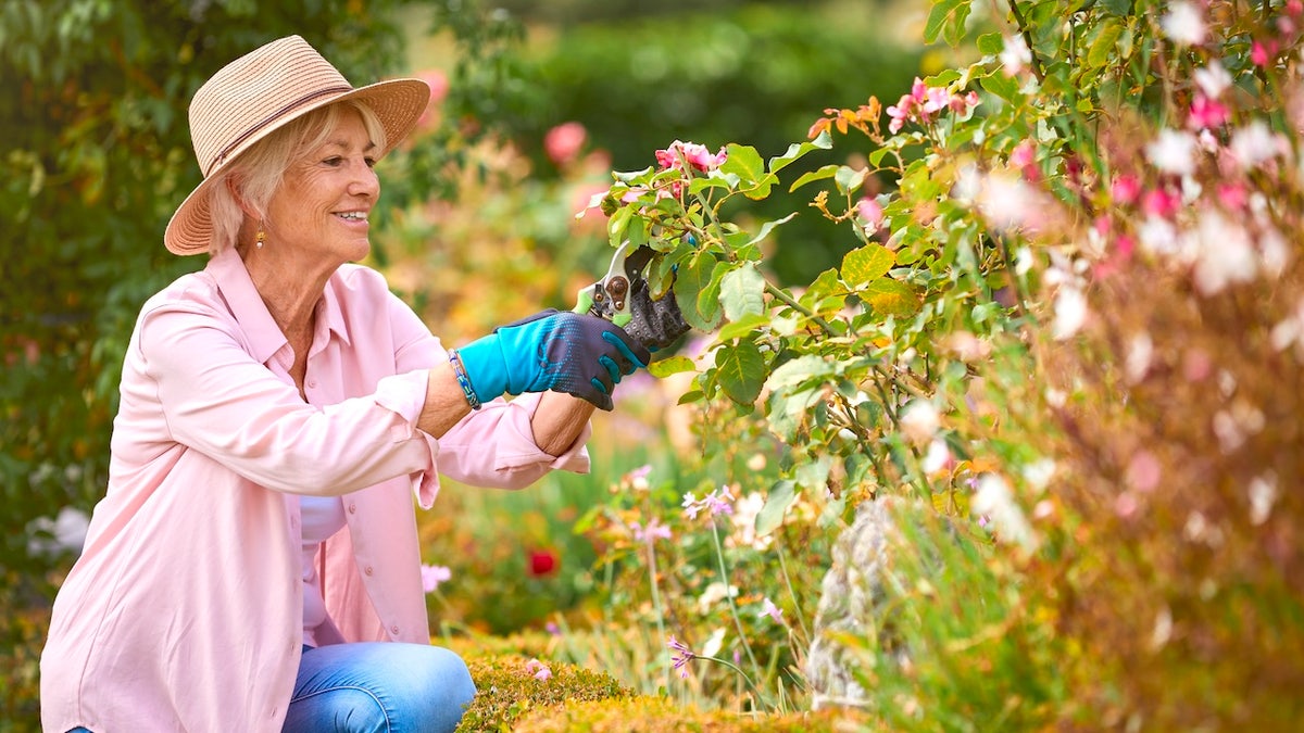 Getting ready to harvest your garden? Get these helpful tools Getting ready to harvest your garden? Get these helpful tools